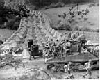 Resize of 39th Infantry, 9th Div., 3rd Armored Div., afoot and riding the back of a bulldozer tank.jpg